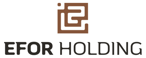 Efor Holding