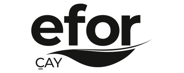 Efor Yatırım